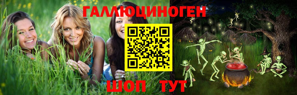 Псилоцибиновые грибы Cubensis Тосно