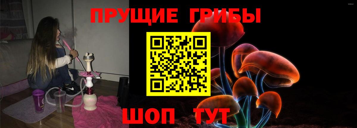 Галлюциногенные грибы Magic Shrooms  Вход с VPN  Галлюциногенные грибы мухоморы  купить наркотик  Тосно 