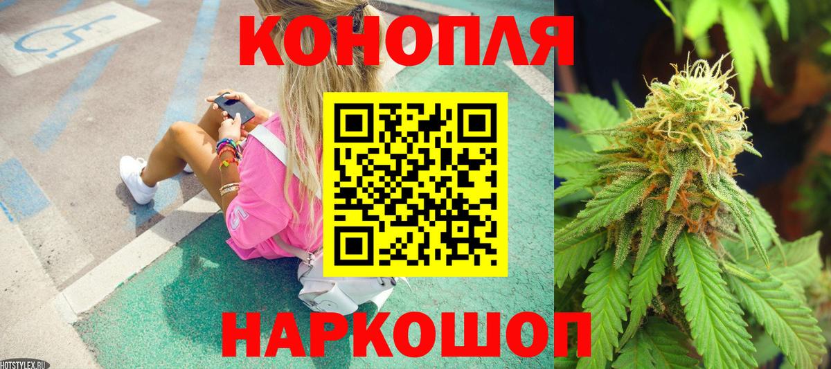 Каннабис планчик Тосно